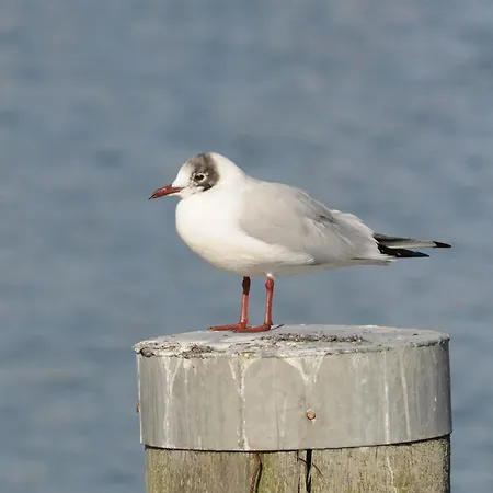 Πανσιόν Reitanlage Plath