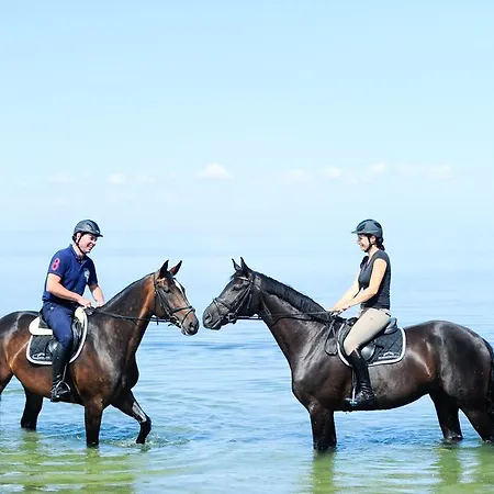 Reitanlage Plath Timmendorf