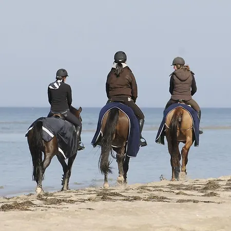 Πανσιόν Reitanlage Plath Timmendorf