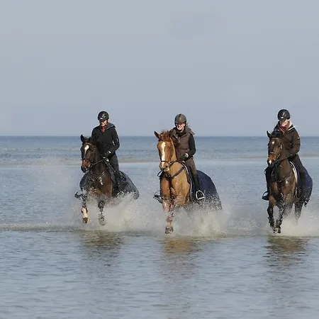 Reitanlage Plath Timmendorfer Strand