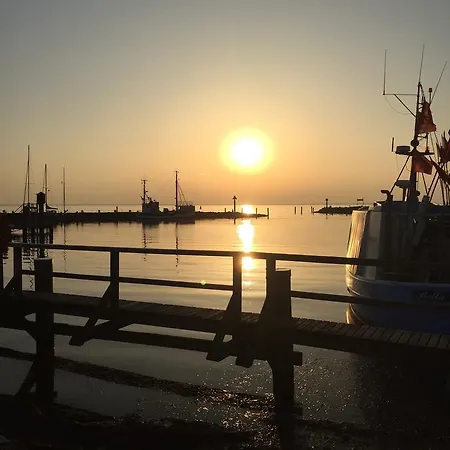 Reitanlage Plath Πανσιόν